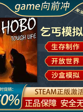 乞丐模拟器 Hobo: Tough Life PC中文正版steam 游戏代购