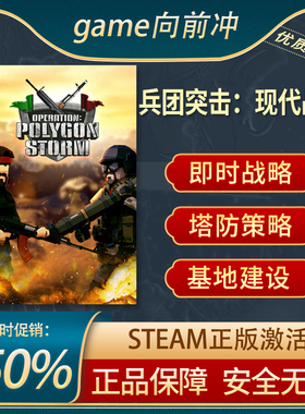 兵团突击：现代战争 Operation: Polygon Storm即时战略Steam正版