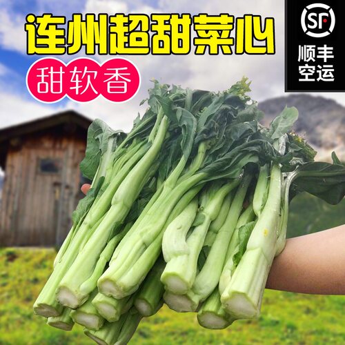 连州菜心迟菜心连州新鲜上市