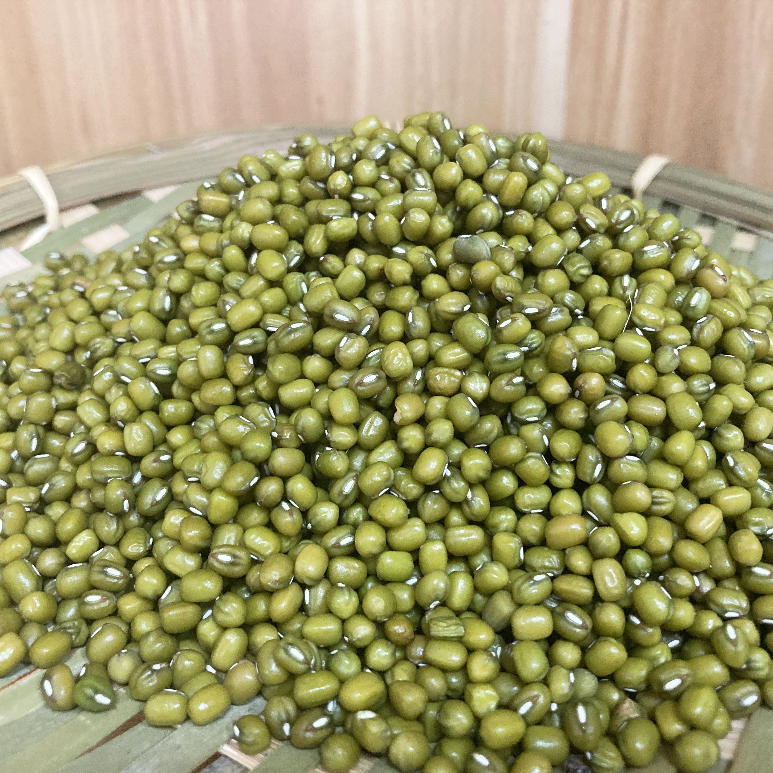 连州特产绿豆农家自种老品种打豆浆大豆发豆芽五谷杂粮煲汤500g