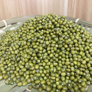连州特产绿豆农家自种老品种打豆浆大豆发豆芽五谷杂粮煲汤500g