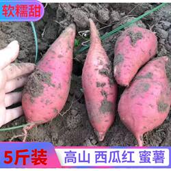 2025连州特产高山番薯西瓜红鸡蛋黄蜜薯糯粉甜农家种地瓜5斤10斤