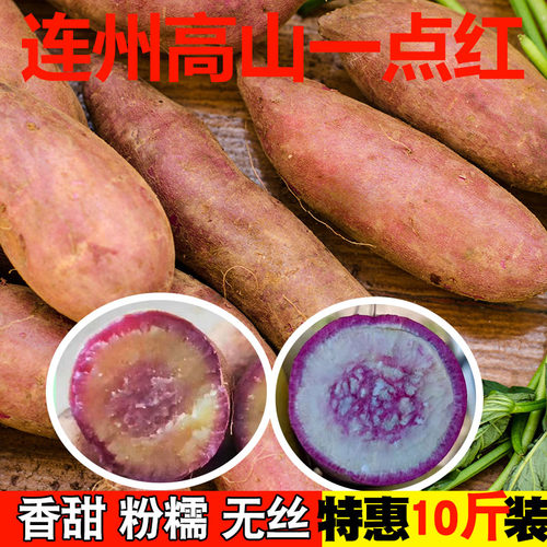 地瓜连州高山小香薯西瓜红