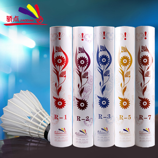 骄点羽毛球正品焦点r1r2r3r4r5鹚鸪鸭毛耐打成人训练比赛球12只装