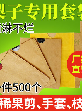 梨子套袋专用袋果树套袋防虫防鸟