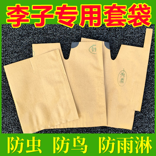 李子专用套袋防虫防鸟黄金奈李