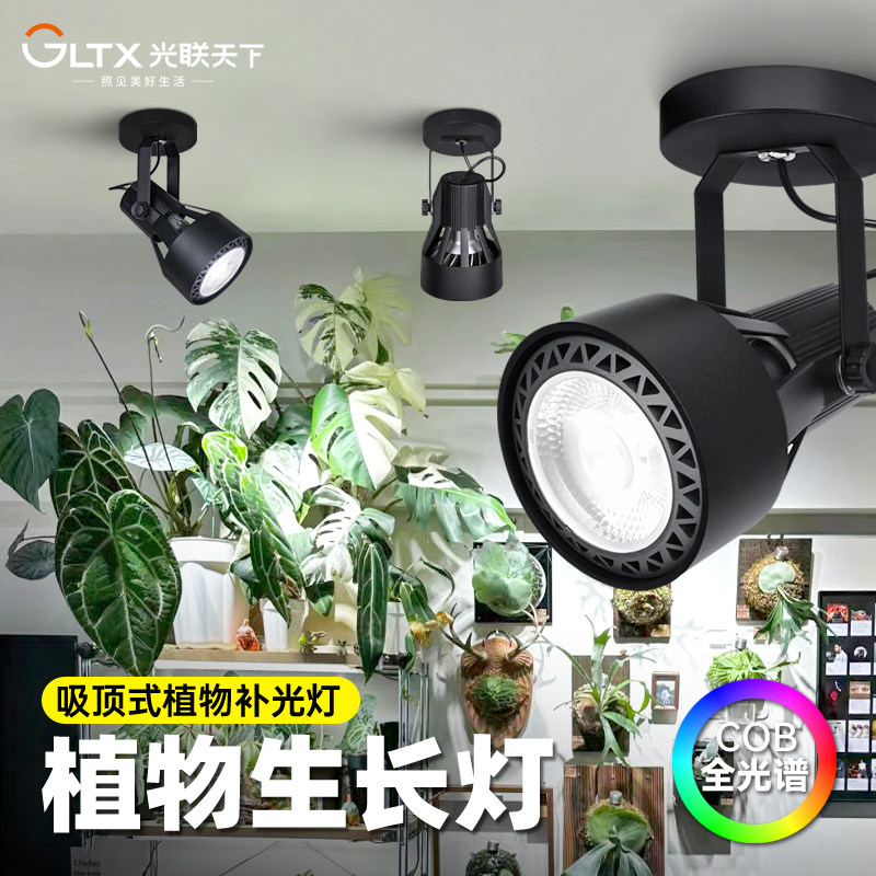 光联天下吸顶式植物补光灯客厅过道阳台热植绿植生长灯全光谱白光,家装灯饰光源,植物生长灯,淘宝优惠券,粉丝福利购,淘宝优惠卷