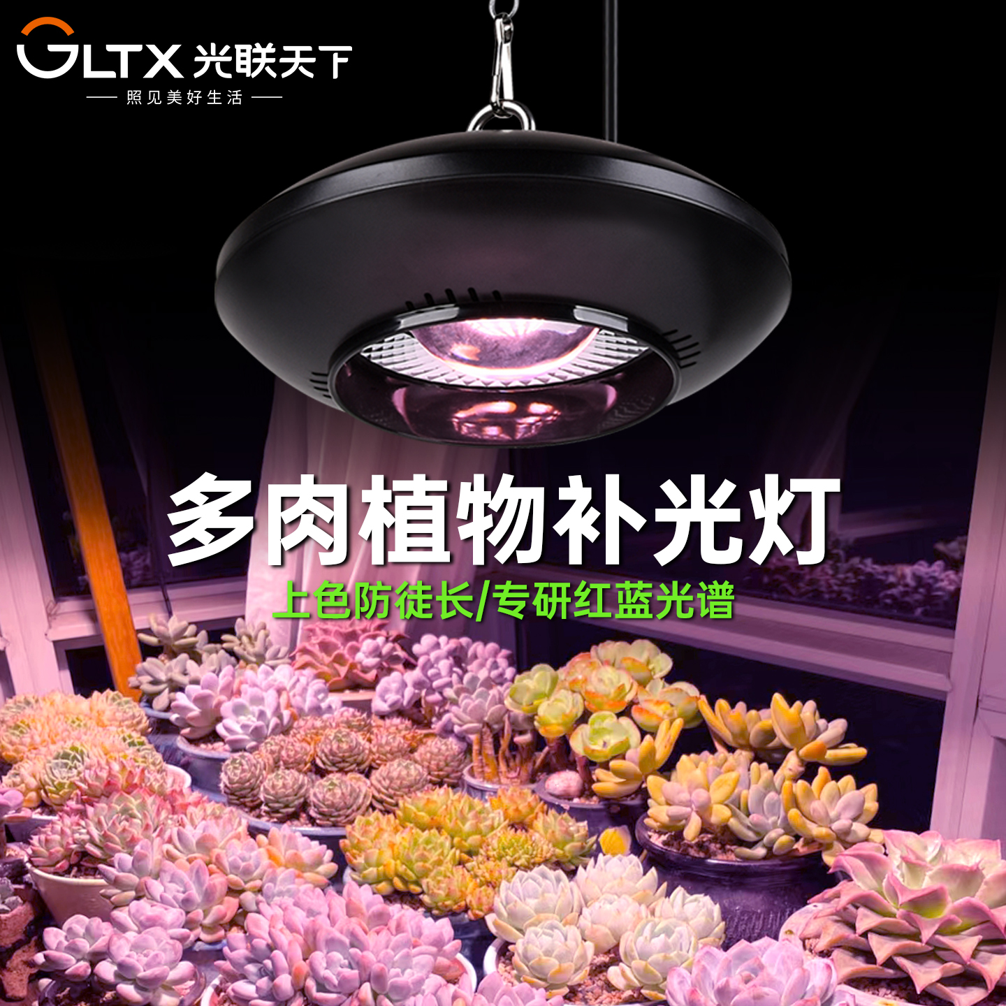 光联天下植物生长灯多肉补光灯