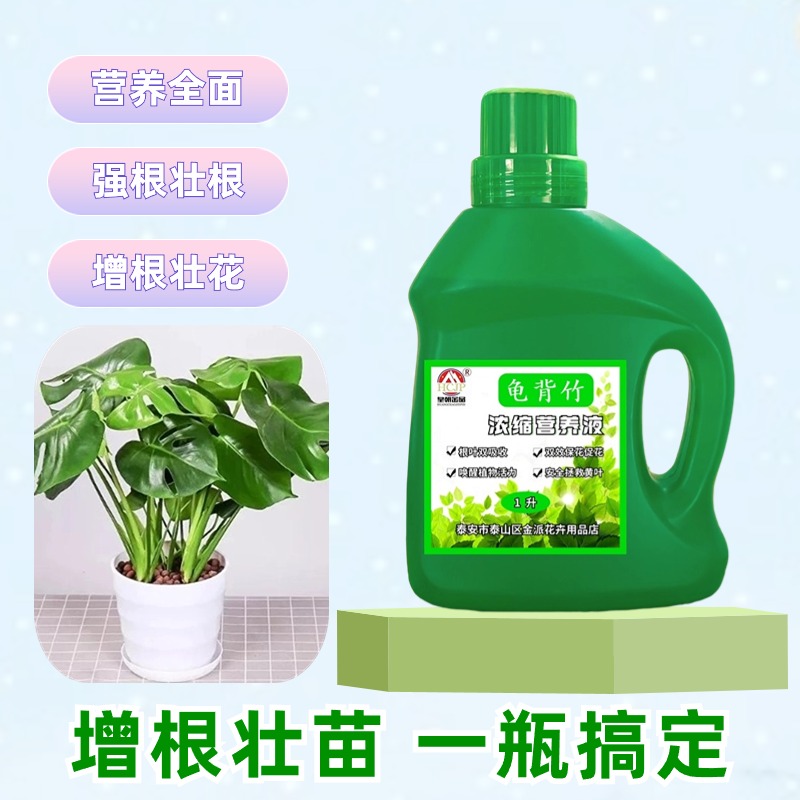 洒金龟背竹棕柱专用浓缩营养液