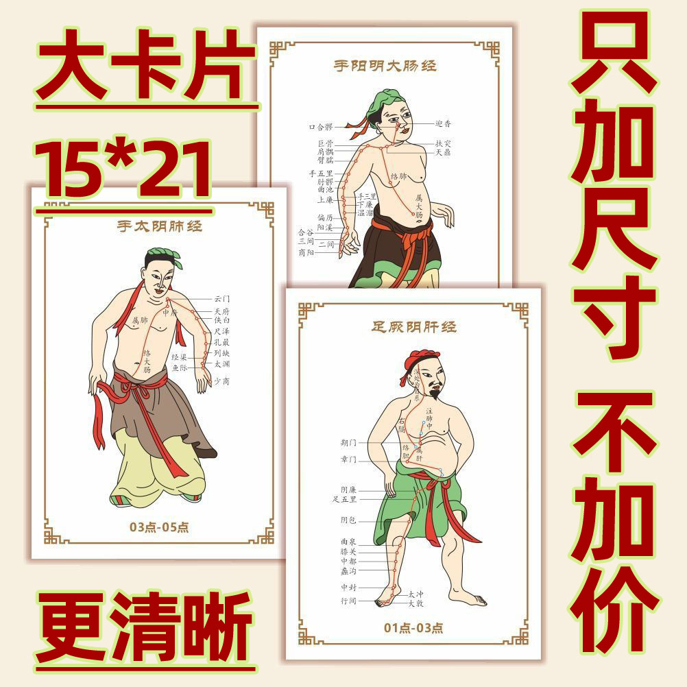 中医人体十四经络穴位示意图走向图经脉穴位学习卡片中医穴位卡片
