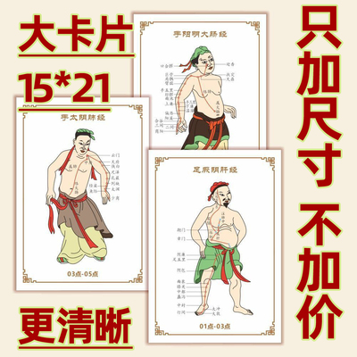 人体重要穴位贴卡片中医穴位