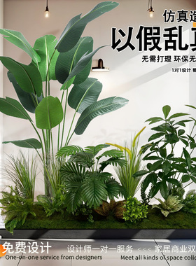 苔序十年老店仿真造景线上开业