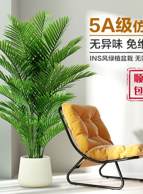 散尾葵仿真植物盆景落地盆栽