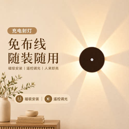 充电免接线壁挂花朵射灯