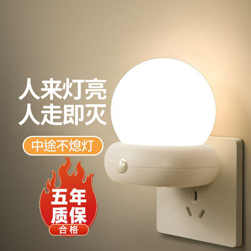 人来及亮人走即灭遥控控制语音