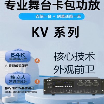 美国ENBKV860KV880KV890KTV包房会议家用支持USBMP3及蓝牙播放器