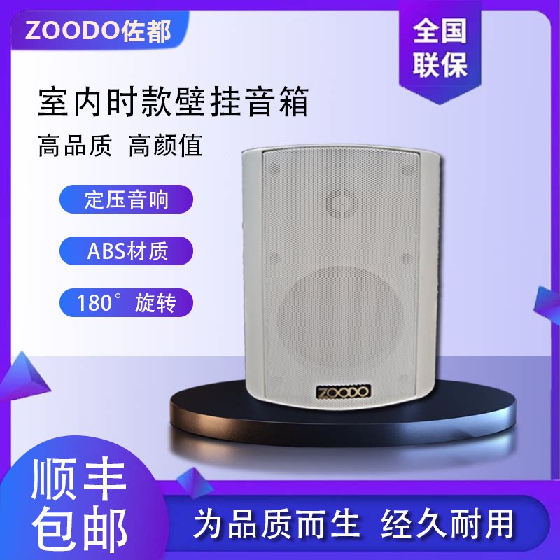 ZOODO BS-20B 小型会议音响套装专业会议室广播系统设备壁挂音箱
