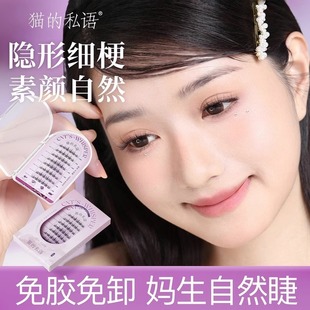 猫的私语免胶假睫毛分段自粘猫眼芊羽仿真自然新手太阳花眼睫毛贴