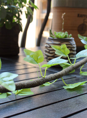 墙面装饰点缀立体绿色植物爬山虎