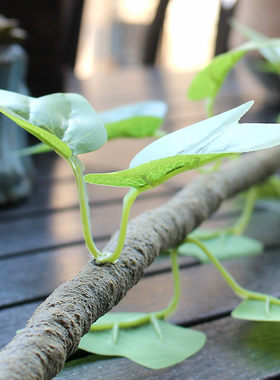 墙面装饰点缀立体绿色植物爬山虎