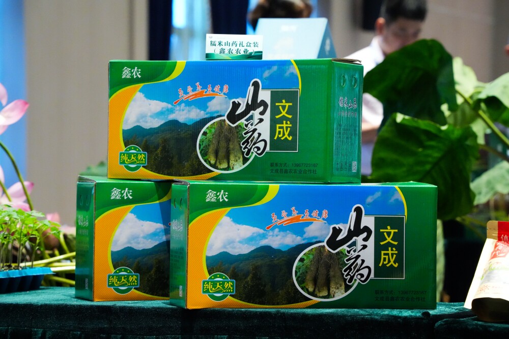 温州文成土特产糯米山药蔬菜宝宝辅食新鲜现挖酒店食材精选礼盒装