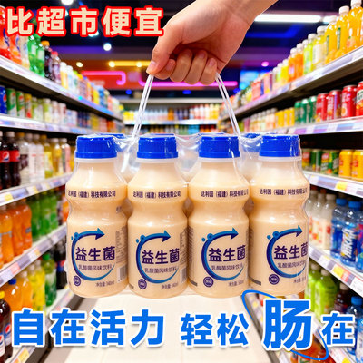 益生菌饮料340ml*12瓶整箱乳酸菌风味饮品益生菌风味饮料