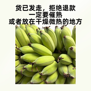【比较甜】广西苹果粉蕉西贡蕉当季新鲜软糯水果 不能放空调房