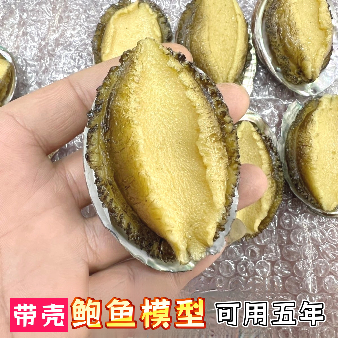 仿真鲍鱼模型假鲍鱼摆件带壳鲍鱼道具酒店饭店海鲜样品菜影视表演