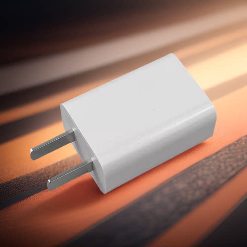 360摄像机充电器原装正品配件直流变压5V1A电源适配器数据线通用