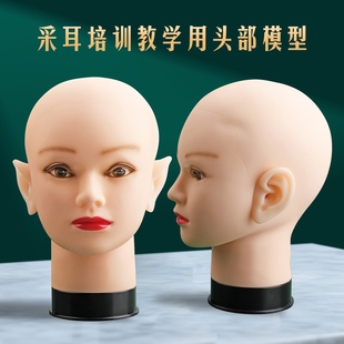 天艺采耳练习人头模型型软胶教学采耳工具矽胶耳孔耳道学员培训人