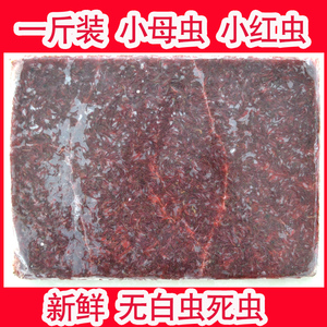 九河冷冻冰冻红赤虫血线虫蛇蚯蚓七彩神仙罗汉孔雀鱼场饵料一斤装