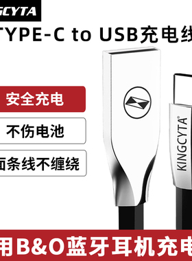 英西达适用B&O Beoplay BO EX E83.0三代 H9i H8i HX H95无线蓝牙耳机充电线A1 A2 P6音箱TYPE-C电源线