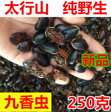 250g原料产地野生中药材九香虫 炒九香虫 小九香虫 打屁虫