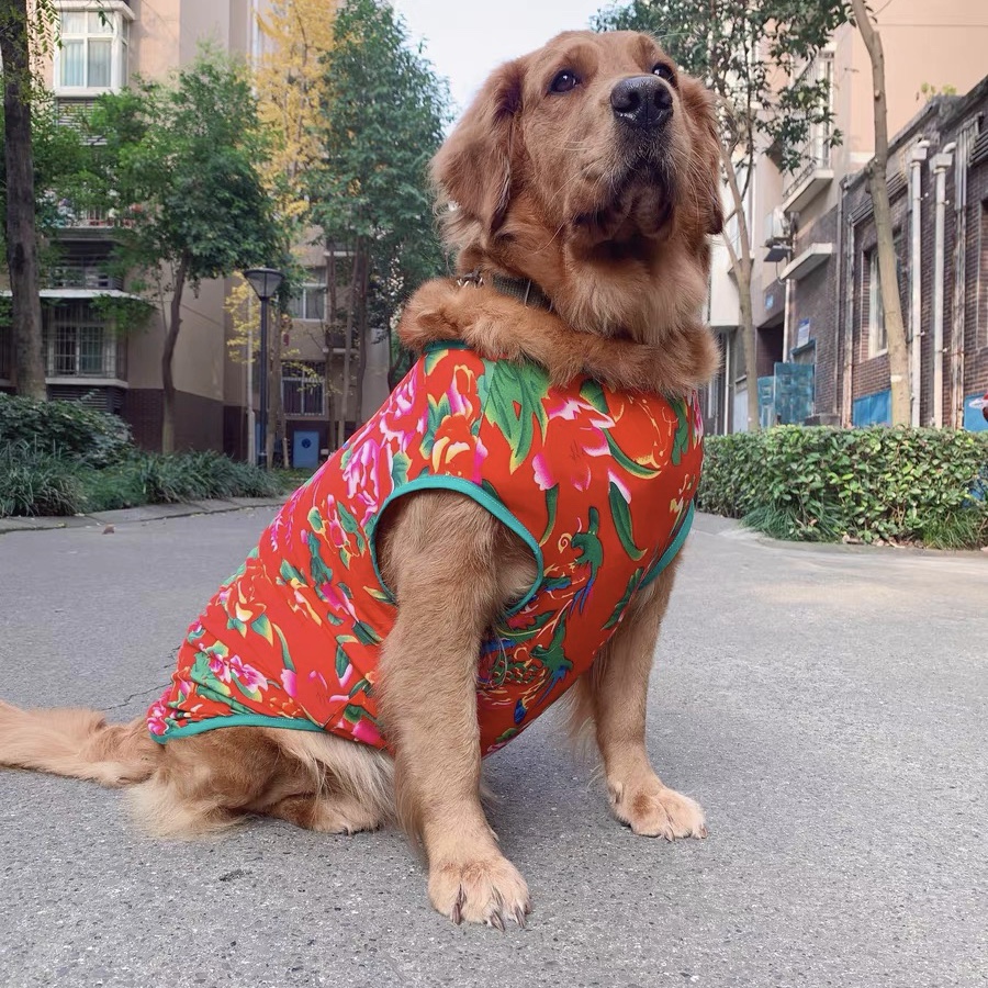 宠物狗东北大花棉袄新年喜庆高弹力中大型犬金毛萨摩耶夏款薄衣服