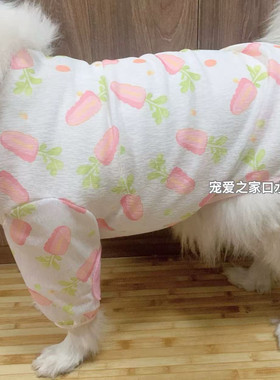 宠物狗衣服中大型犬透气网纱防掉毛防晒萨摩耶夏天薄款护肘两脚衣