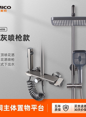 埃美柯amico 全铜淋浴花洒套装枪灰色带喷枪家用增压喷头淋雨洗澡
