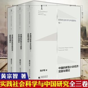 实践与理论 新型小农经济实践与理论 中国 新型非正规经济 广西师范 正版 黄宗智 广西本社实践社会科学与中国研究全三卷中国