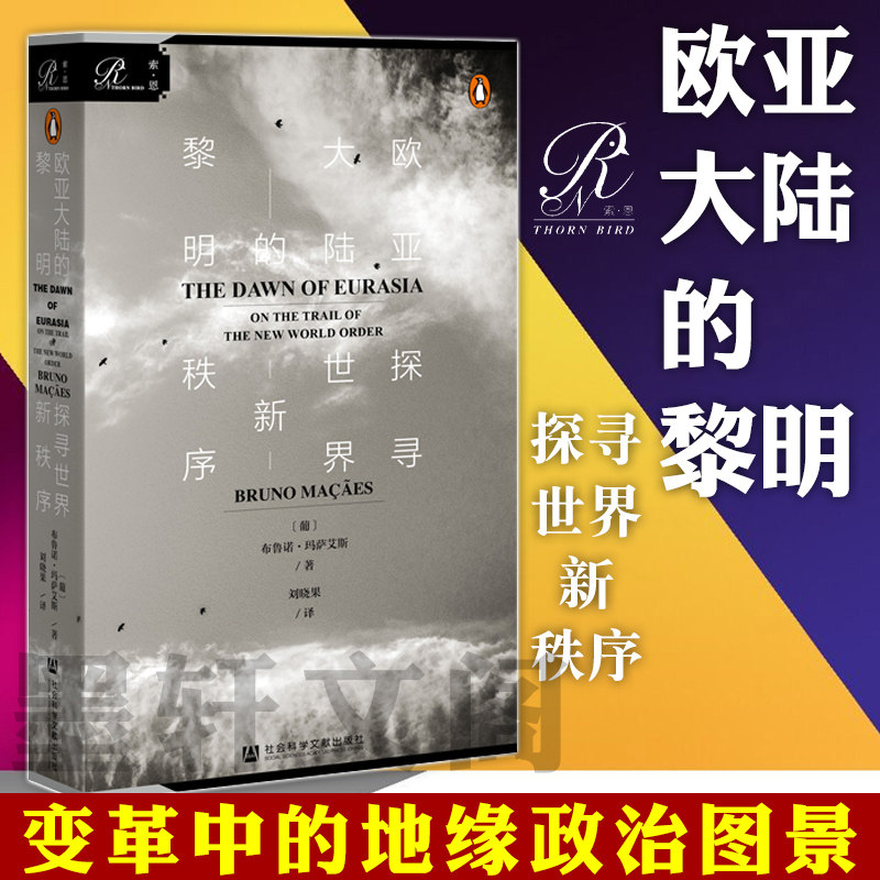 正版书 社科文献索恩丛书： 欧亚大陆的黎明 探寻世界新秩序 布鲁诺玛萨艾斯著 21世纪版历史的地理枢纽 社会科学文献出版社图片