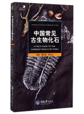 中国常见古生物化石好奇心丛书
