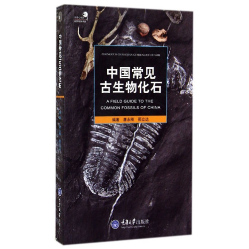 中国常见古生物化石好奇心丛书