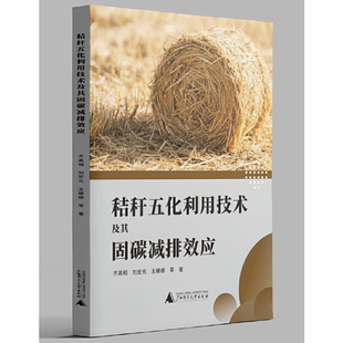 齐高相 刘宏元 社 书 广西本社 广西师范大学出版 秸秆五化利用技术及其固碳减排效应 等编著 正版 王娜娜
