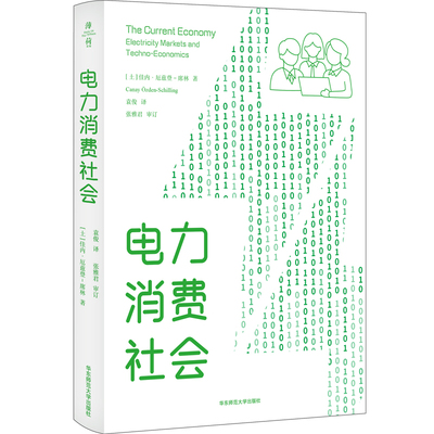 现货正版书  电力消费社会（薄荷实验） 卡内·厄兹登-席林著  华东师范大学出版社