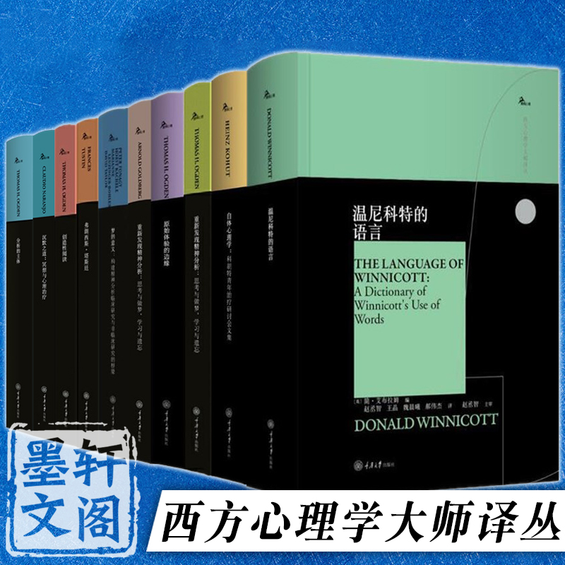 自选 西方心理学大师译丛 温尼科特的语言 投射性认同和心理治疗技术 从儿科学到精神分析 安娜弗洛伊德 创造性阅读遐想与解释等