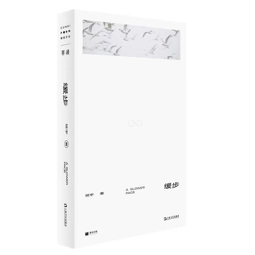 缓步班宇第三部小说集