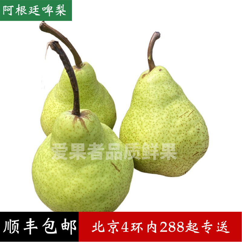 阿根廷啤梨彩啤梨太婆梨3斤装6到8个水润面甜比比利时啤梨甜化渣