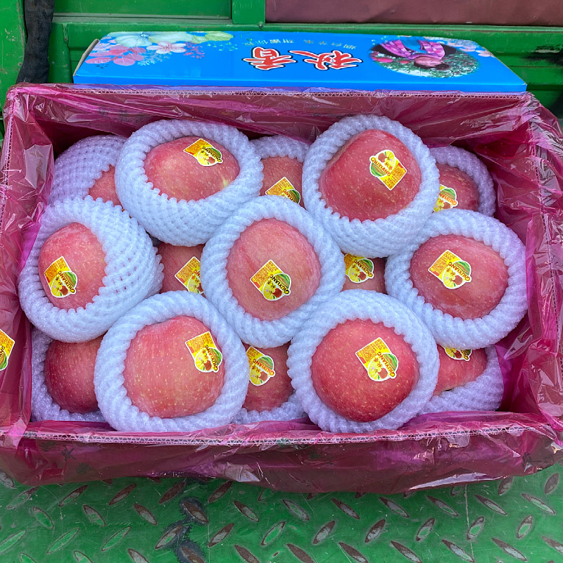 秋香苹果12到15个装礼盒山东烟台红富士苹果