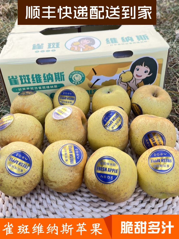 山东雀斑王琳维纳斯苹果脆甜3斤