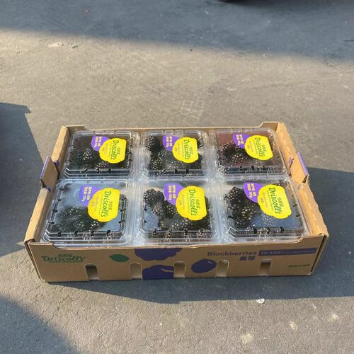 Driscoll's怡颗莓黑莓覆盆子顺丰