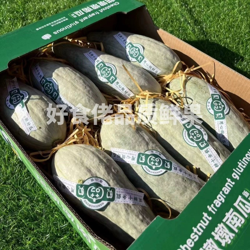 南小萌日本品种 甜墩墩贵族南瓜贝贝南瓜 粉糯香甜板栗南瓜