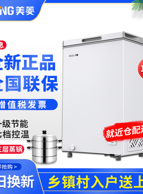 MeiLing/美菱 BC/BD-100DT一级能效家用冰柜小型单温保鲜冷冻双温